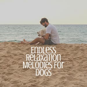 Endless Relaxation Melodies for Dogs - Music for Calming Dogs