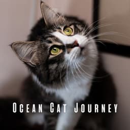 Ocean Cat Journey: Serene Binaural Beats and Theta Waves - Ocean Mysteries