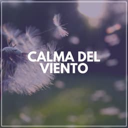 Calma del Viento - Mantra para Meditar