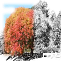 White Noise Collection - 50 Shades of Ambience - Music For Absolute Sleep