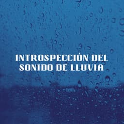 Introspección Del Sonido De Lluvia - Lluvia Sonidos Naturaleza Colección