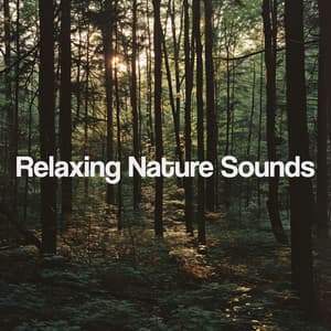 Relaxing Nature Sounds - Nature Sounds Nature Music