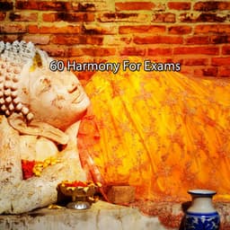 60 Harmony For Exams - Meditation Masters