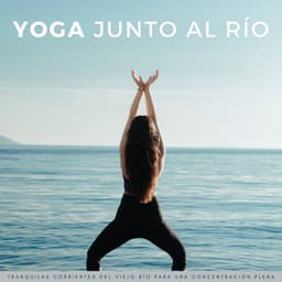 Yoga Junto Al Río: Tranquilas Corrientes Del Viejo Río Para Una Concentración Plena - Lista de reproducción de yoga