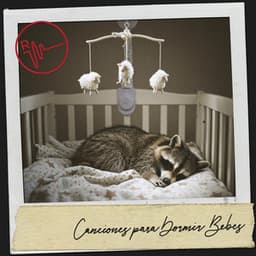 Canciones para Dormir Bebes: Sueño profundo y largo - Música Relajante Para Leer