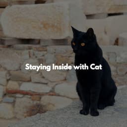 Staying Inside with Cat - Easy Listening Playlisted Background Music