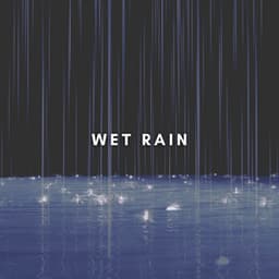 Rainstorm Sounds for Relaxing Focus and Sleep - Wet Rain