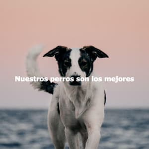 Nuestros perros son los mejores - Manhattan Jazz Band