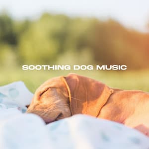 Soothing Dog Music for Relaxing and Sleeping - Soothing Dog Music