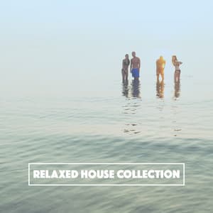 Relaxed House Collection - Bar Lounge