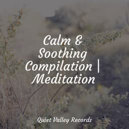 Calm & Soothing Compilation | Meditation - Thunder Storm