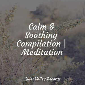Calm & Soothing Compilation | Meditation - Thunder Storm