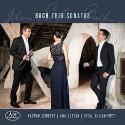 J.S. Bach, C.P.E. Bach & Goldberg: Chamber Works - Ana Oltean