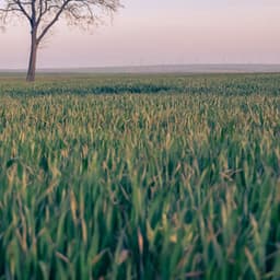 50 White Noise Sounds For Sleeping: Napping - White Noise Therapy