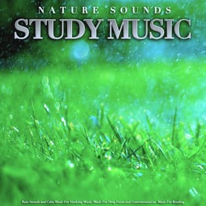 Nature Sounds Study Music: Rain Sounds and Calm Music For Studying Music, Music For Deep Focus and Concentration an Music For Reading - Study Music & Sounds