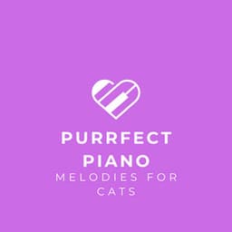 Purrfect Piano: Melodies for Cats - Piano for cats