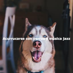 Acurrucarse con perros y música jazz - Cafe Music Japan