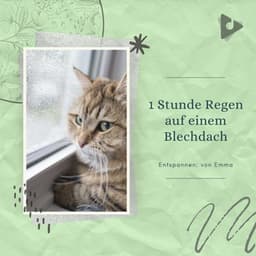 1 Stunde Regen auf einem Blechdach - Entspannen: von Emma