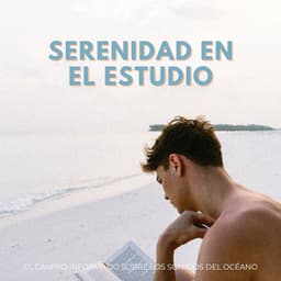 Serenidad En El Estudio: El Camino Informado Sobre Los Sonidos Del Océano - Sonidos y susurros de la naturaleza