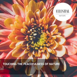 Touching the Peacefulness of Nature - Nature Radiance