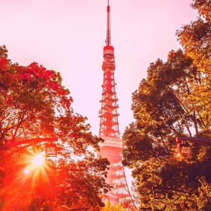 Music for Chilling with LoFi - Lo-fi Hip Hop Beats