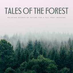 Tales Of The Forest: Relaxing Sounds Of Nature For A Full Body Massage - Spa Music Lounge