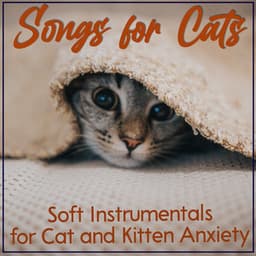 Songs for Cats: Soft Instrumentals for Cat and Kitten Anxiety - Cat Music Therapy