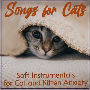 Songs for Cats: Soft Instrumentals for Cat and Kitten Anxiety - Cat Music Therapy