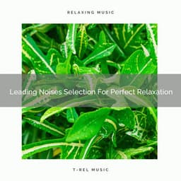 Leading Noises Selection For Perfect Relaxation - Water Sound Natural White Noise / White Noise for Babies