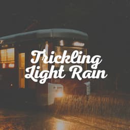 Trickling Light Rain - Best Rain Sounds ASMR