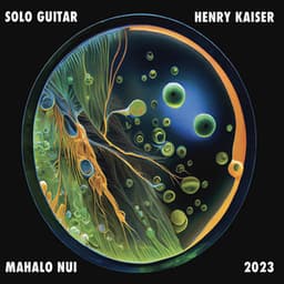 Mahalo Nui - Henry Kaiser