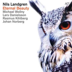 Eternal Beauty - Nils Landgren