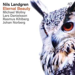 Eternal Beauty - Nils Landgren