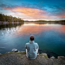 Movimientos De Orquesta: Flujo Musical Refinado - Jose Garcia