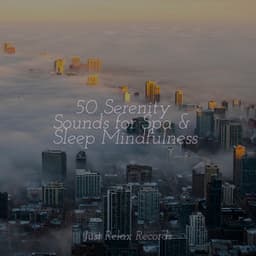 50 Serenity Sounds for Spa & Sleep Mindfulness - Meditation