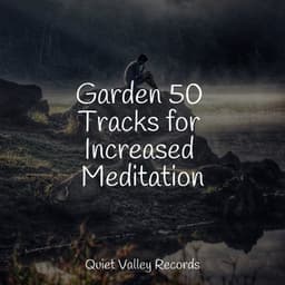 Garden 50 Tracks for Increased Meditation - Sounds of Nature Relaxation
