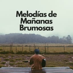 Melodías De Mañanas Brumosas - Sonidos de lluvia para conciliar el sueño