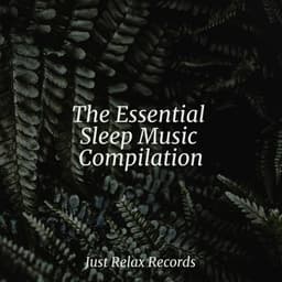 The Essential Sleep Music Compilation - Relaxamento