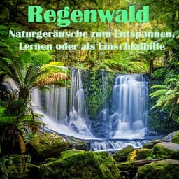 Regenwald, Naturgeräusche zum Entspannen, Lernen oder als Einschlafhilfe - Der Regenwald
