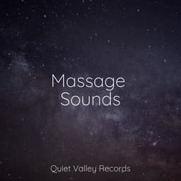 Massage Sounds - White Noise Sound Garden
