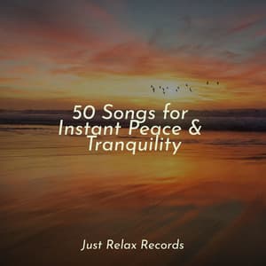 50 Songs for Instant Peace & Tranquility - Musica para Dormir Dream House