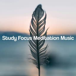Study Focus Meditation Music - Zen Meditation Music Academy