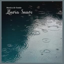 Musica de Fondo: Lluvia Suave - Sonidos de lluvia y ruido de fondo