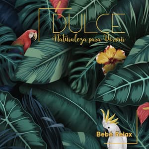 Dulce Naturaleza para Dormir - Erika Berg