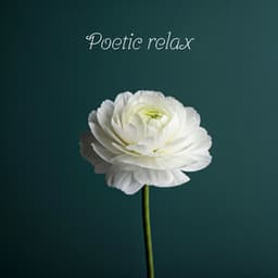 Poetic Relax: Tranquil Anti-Stress Moments with Piano - Soft Instrumental Piano