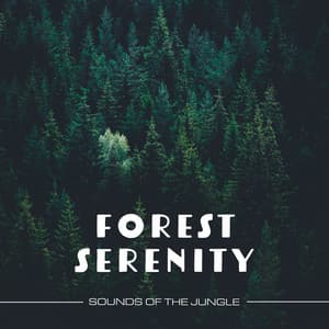 Forest Serenity - Sounds of the Jungle