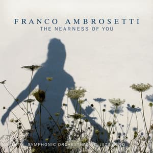 The Nearness of You - Franco Ambrosetti