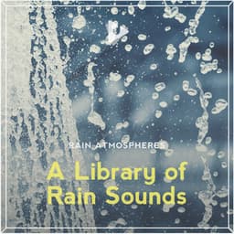 A Library of Rain Sounds - Rain Atmospheres