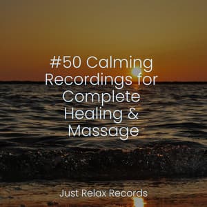 #50 Calming Recordings for Complete Healing & Massage - Calming Sounds
