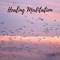 Healing Meditation - Natural Sample Makers
